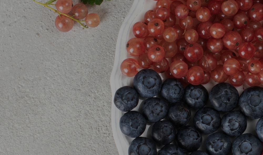 Blackberry and cranberry: small allies of health