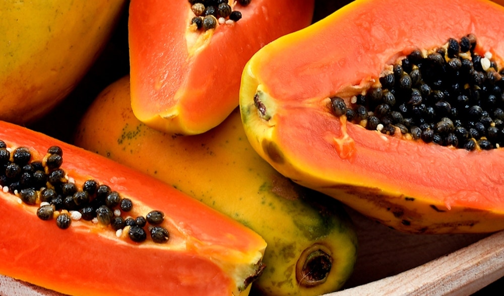 Papaya, the fruit of longevity