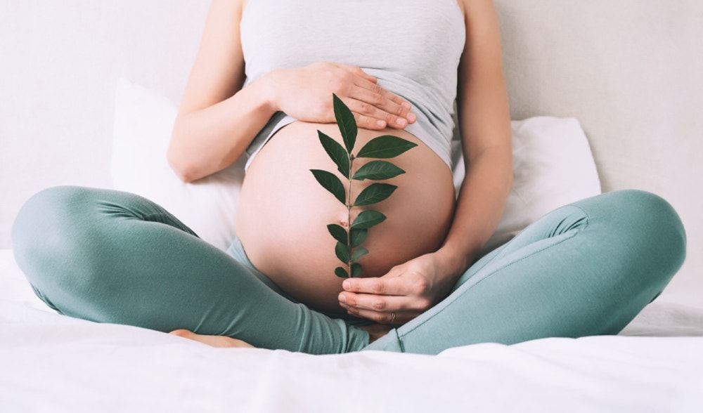 Pregnancy: taboos about workouts and nutrition