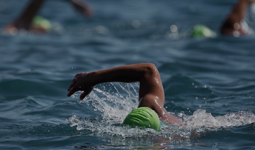 Open water swimming between training, nutrition and supplementation