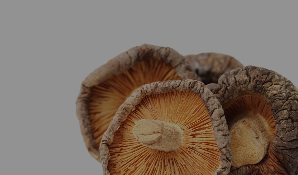 Shiitake mushroom: beneficial properties and history