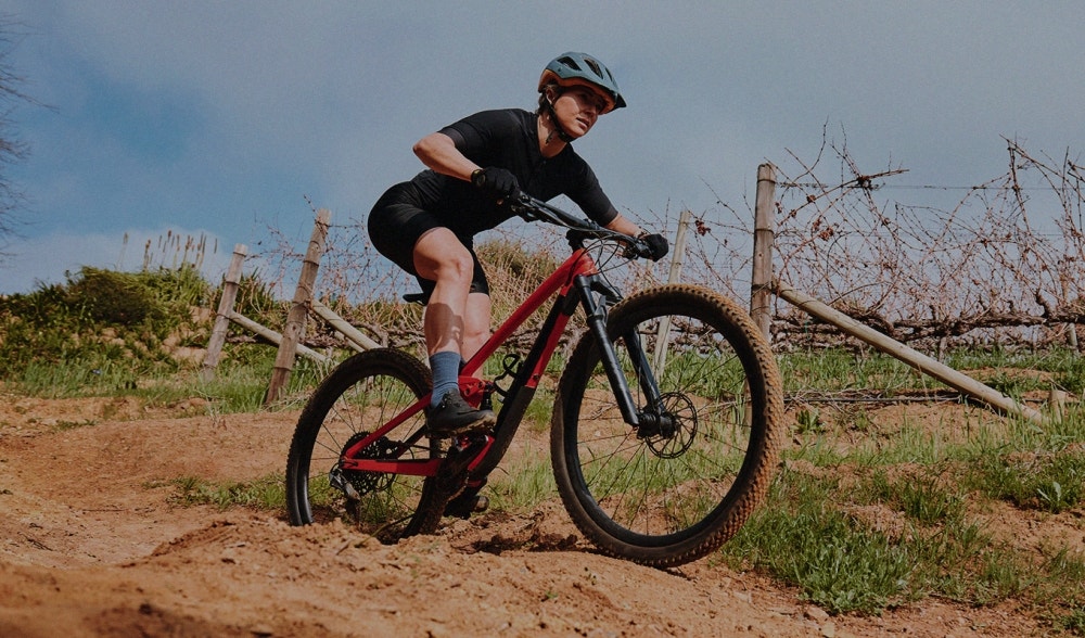 Cycling nutrition
