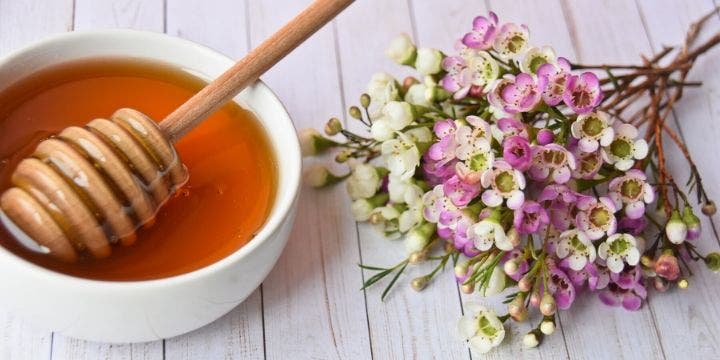 manuka honey